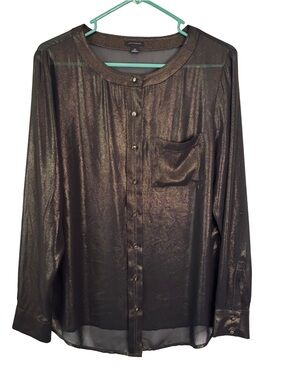 3/$20 Ann Taylor Shiny Semi-Sheer Long Sleeve Button Down Blouse